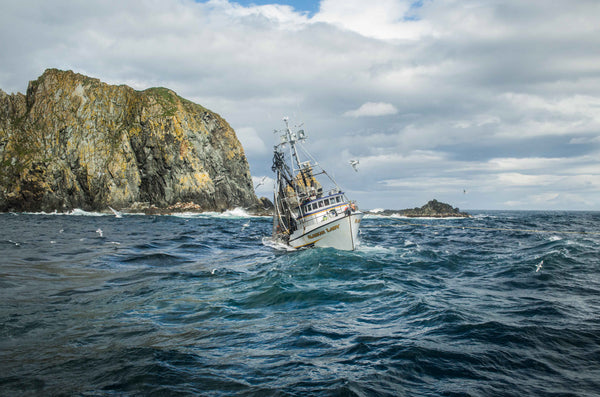 THE ALASKAN LADY I - ACHEREDIN, ALASKA