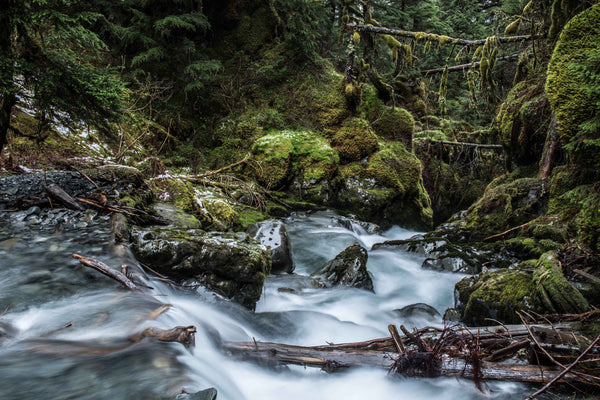 VIRGIN CREEK FALLS II - ALASKA