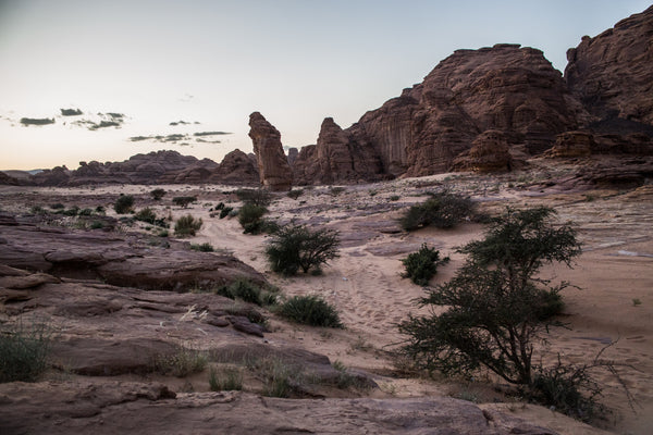 THE DESERT - AL ULAH, SAUDI ARABIA