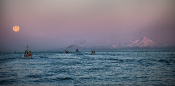 MORNING COMMUTE - COOK INLET, ALASKA